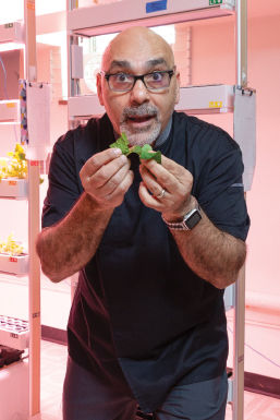 Feker_on_Food_1.jpg